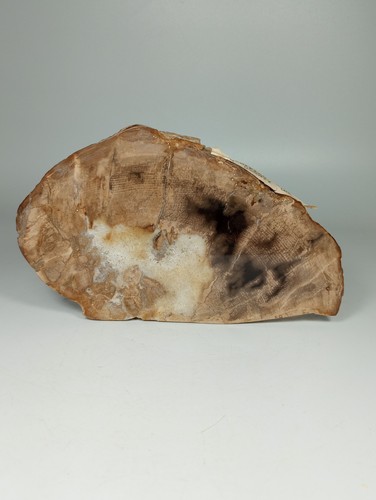 Halite crystal petrified wood - crystal,