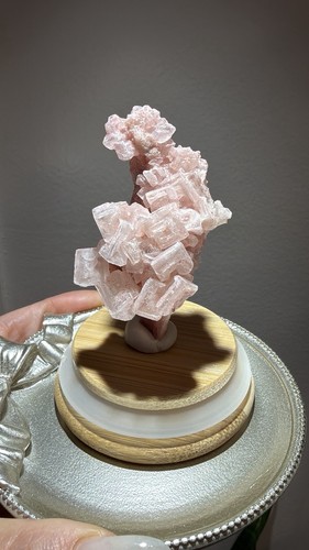 Pink halite crystal cluster - pink,